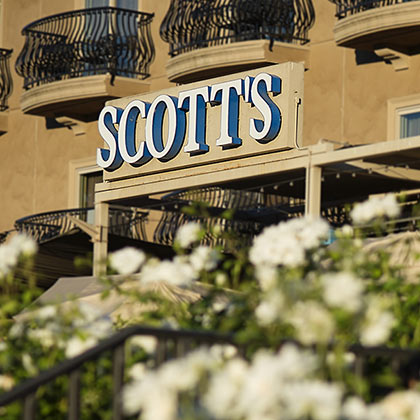 Scott seafood deals