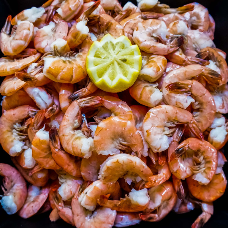 Brunch_Collection_01-sq